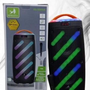 Parlante 6.5X2 Pulgadas Rp-6203